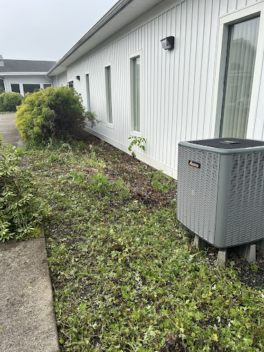 Professional lawn mowing and maintenance service in the Pocono Mountains