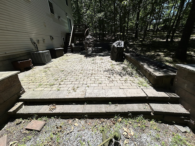 Patio before hardscaping restoration - overgrown and deteriorated