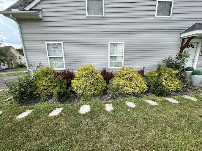 Shrub and garden bed cleanup completed in the Pocono Mountains