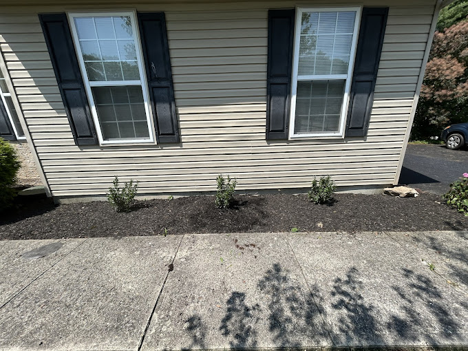 Ornamental shrub trimming and pruning result in Stroudsburg PA