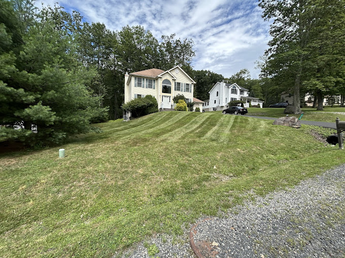 Brush and yard debris removal service in the Pocono Mountains